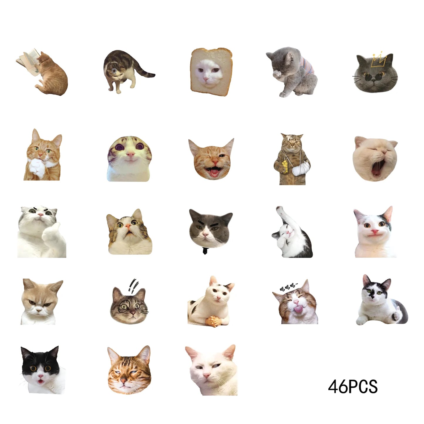 Cute Cat Stickers Set π±