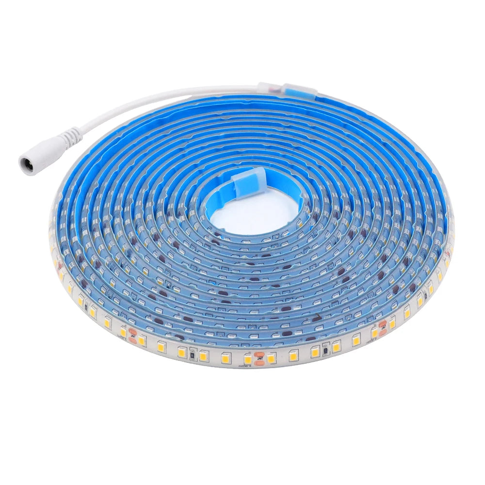 IP68 Waterproof LED Strip Light 12V π§