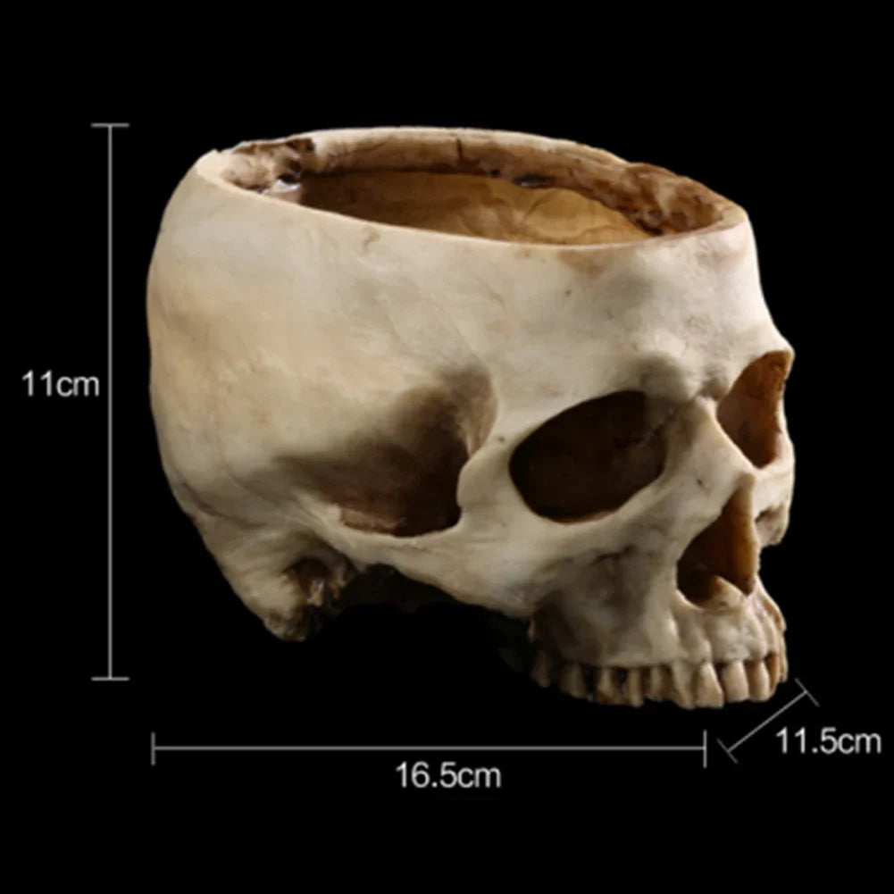 Resin Skull Planter & Storage π