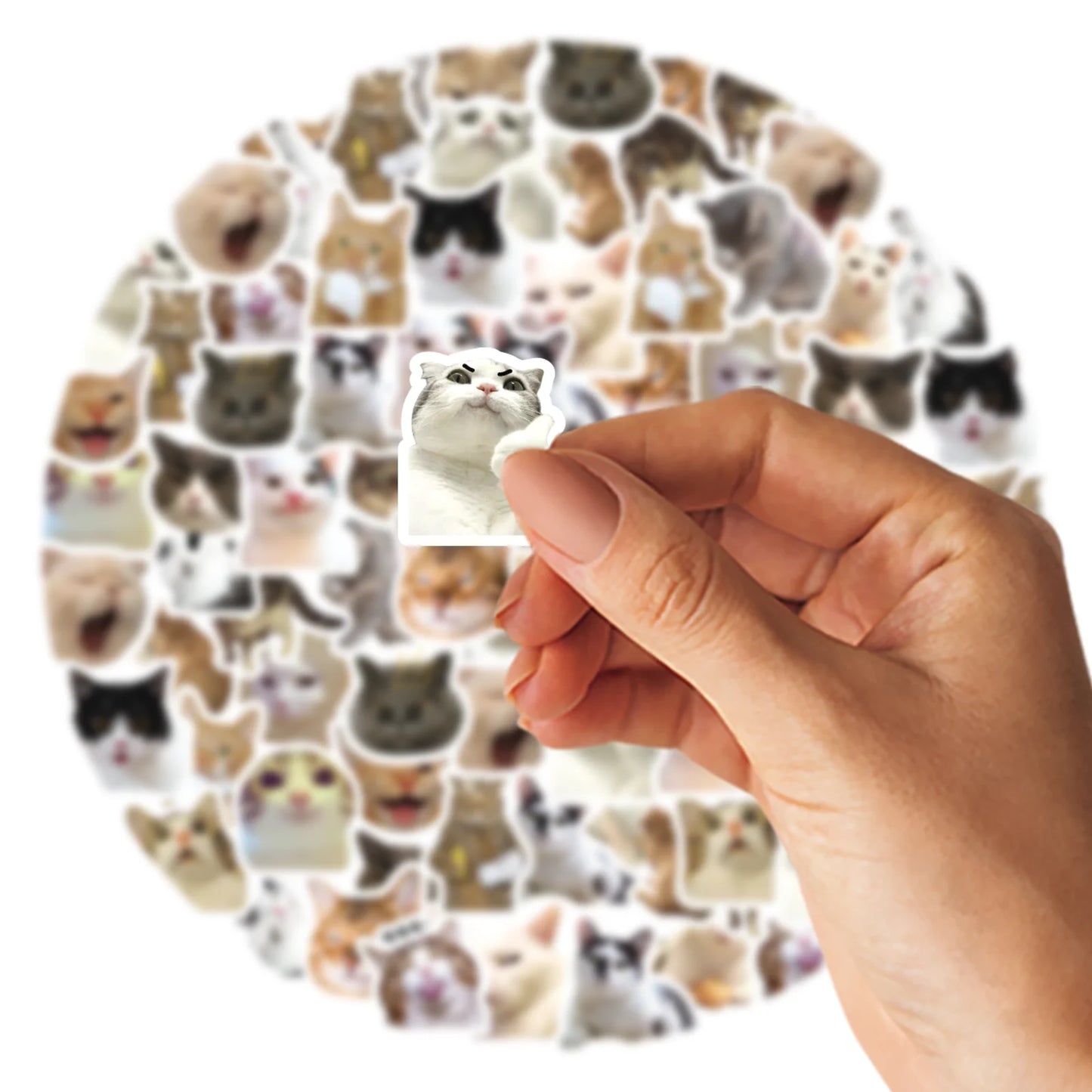 Cute Cat Stickers Set 🐱