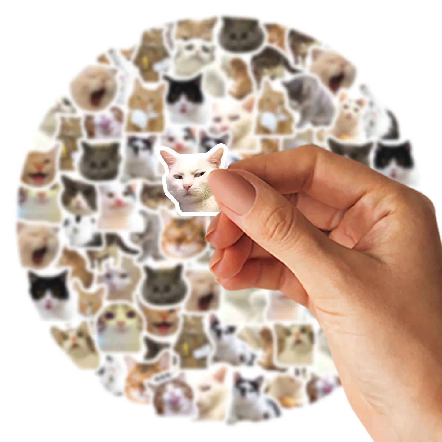 Cute Cat Stickers Set 🐱