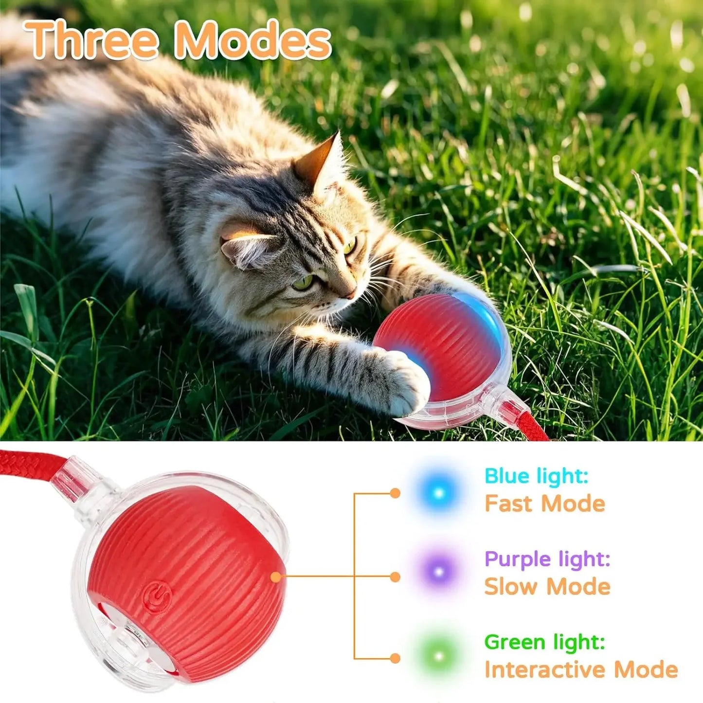 Smart Rolling Pet Ball 🐾