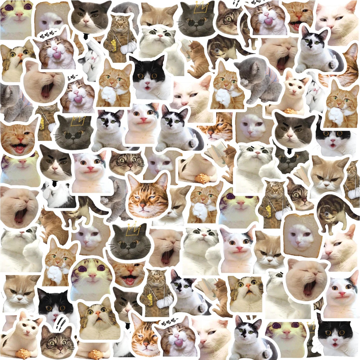 Cute Cat Stickers Set 🐱