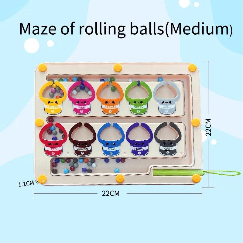 Children's Magnetic Maze Walking Ball
