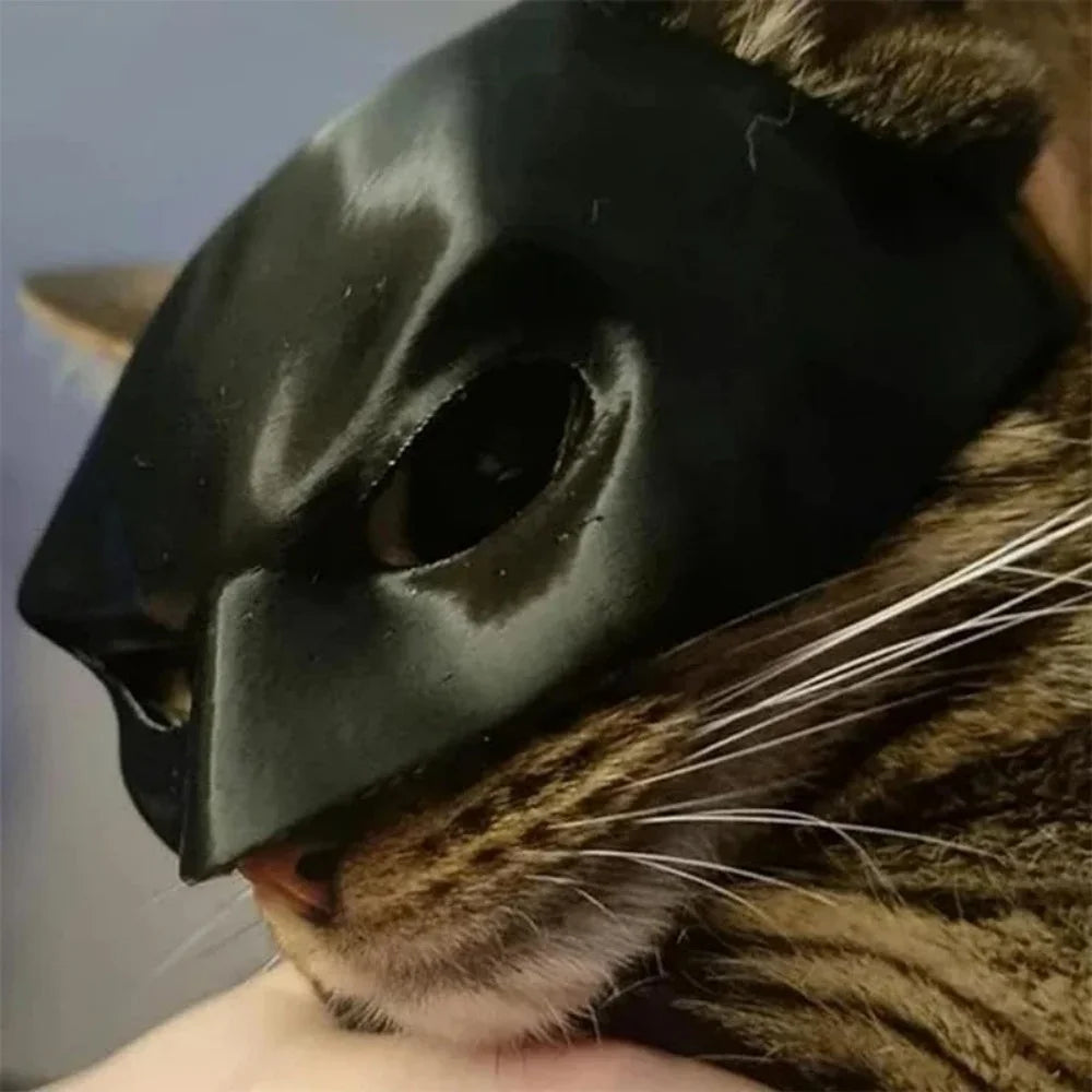 Halloween Bat Mask for Cats – Cosplay Photo Prop 🦇