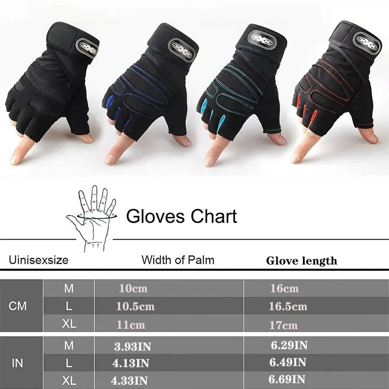 Gym Gloves 🥊 – V4