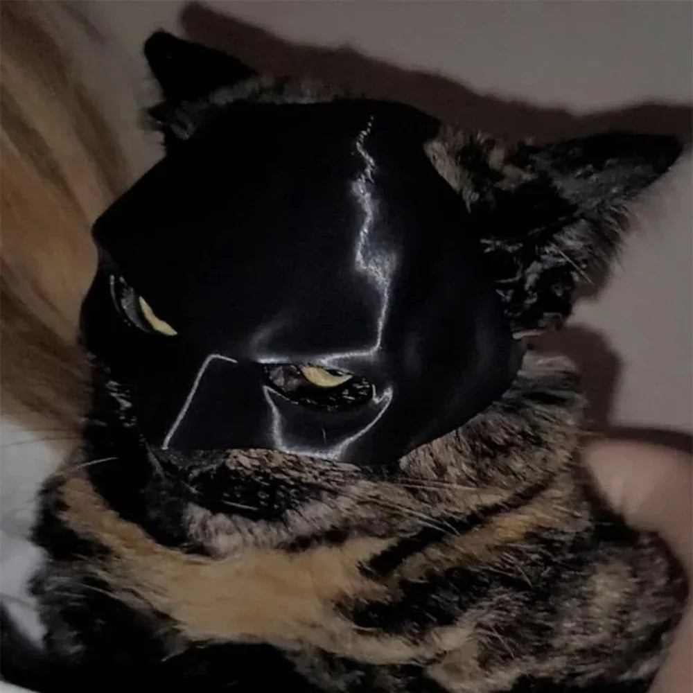 Halloween Bat Mask for Cats – Cosplay Photo Prop 🦇