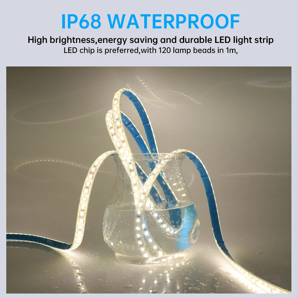IP68 Waterproof LED Strip Light 12V 💧