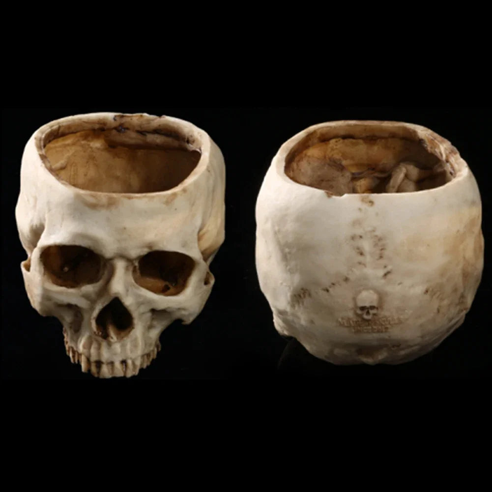 Resin Skull Planter & Storage 💀