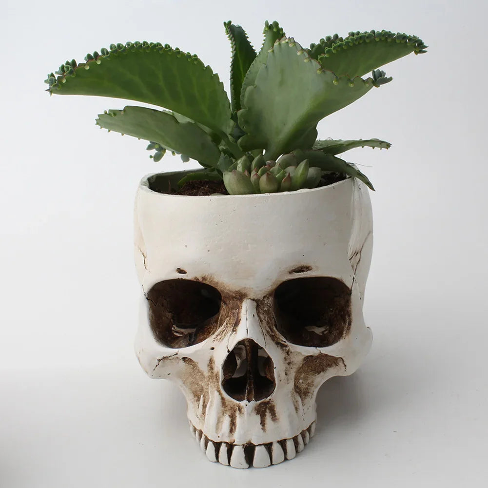 Resin Skull Planter & Storage 💀