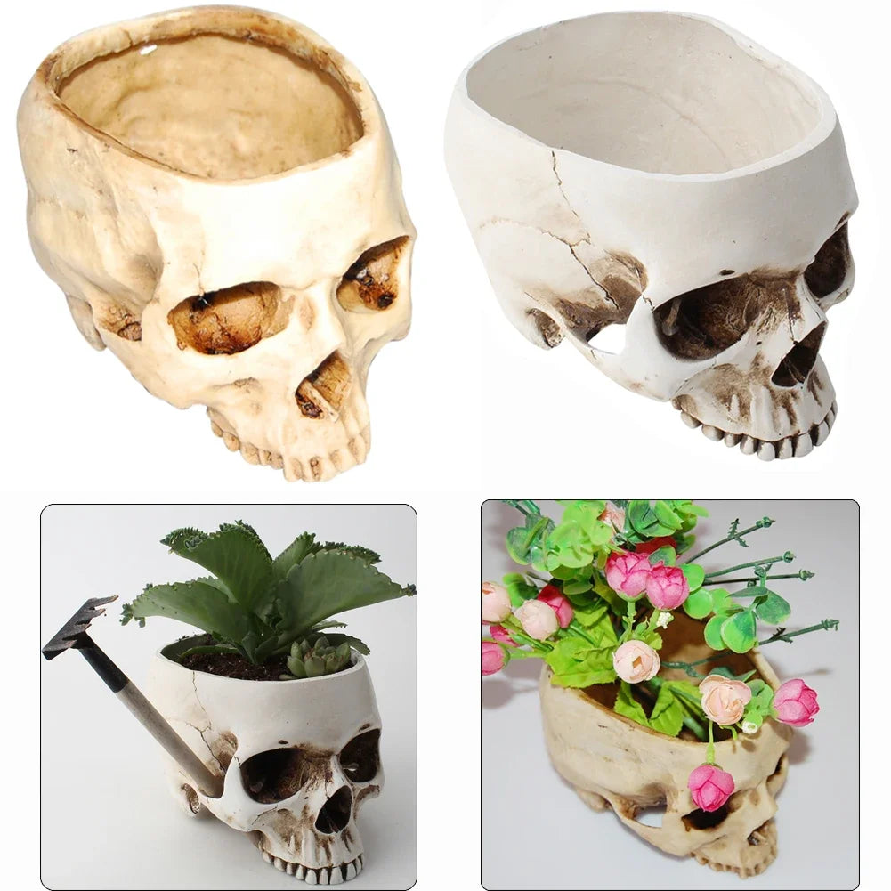 Resin Skull Planter & Storage 💀