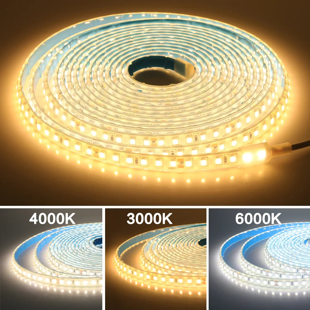 IP68 Waterproof LED Strip Light 12V 💧