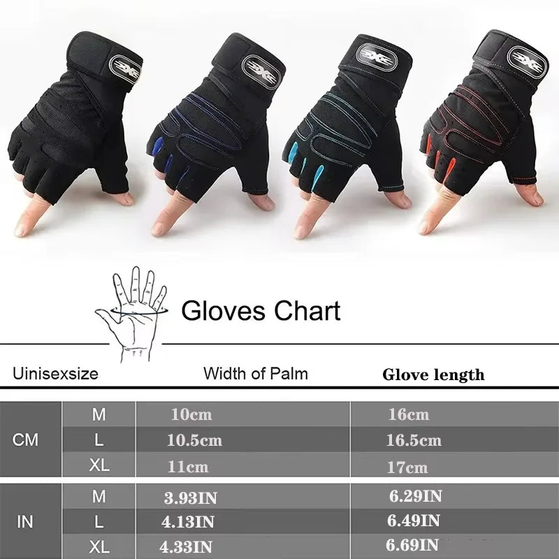 Gym Gloves 🥊 – V4