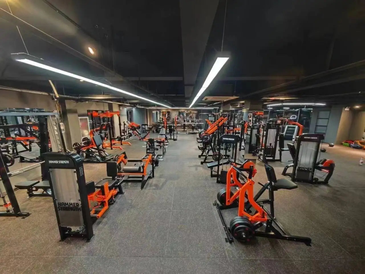 Cardio Spinning Bike 🚴 – V4