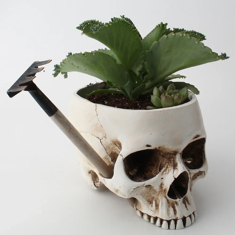 Resin Skull Planter & Storage 💀