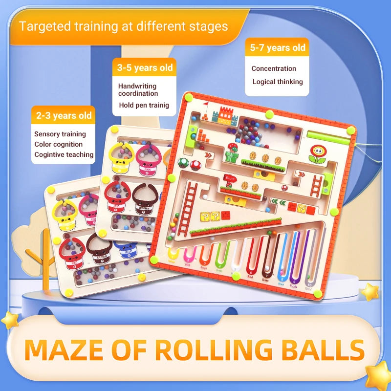 Children's Magnetic Maze Walking Ball