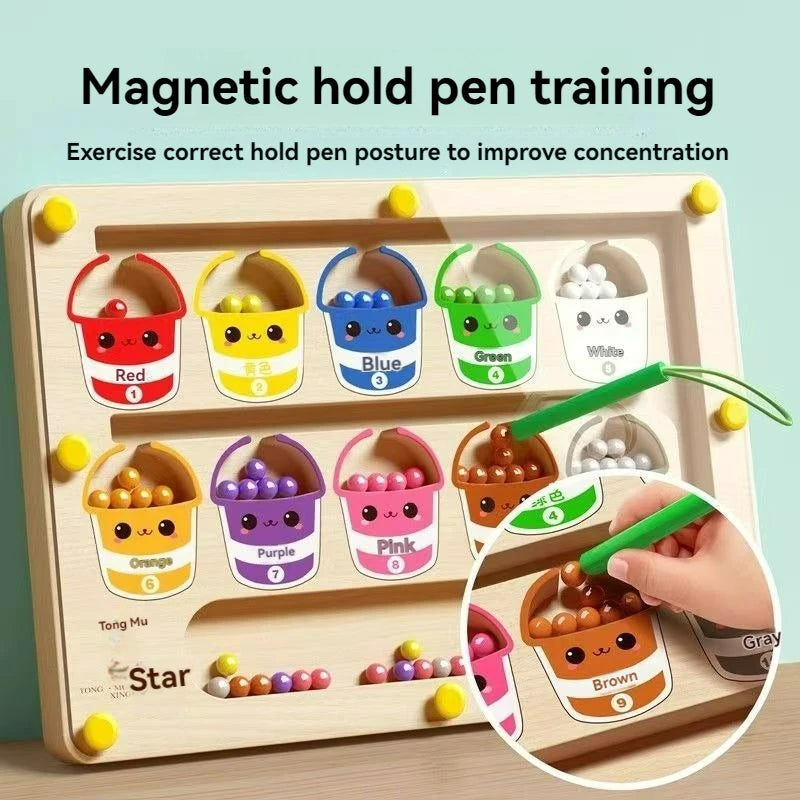 Children's Magnetic Maze Walking Ball