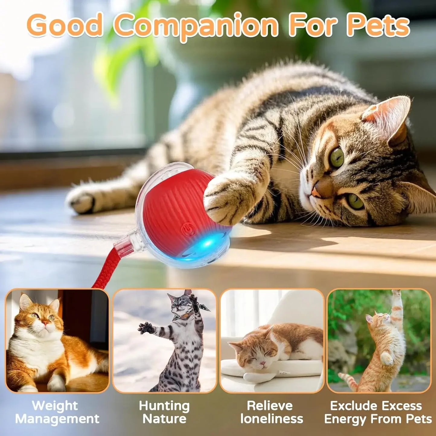 Smart Rolling Pet Ball 🐾