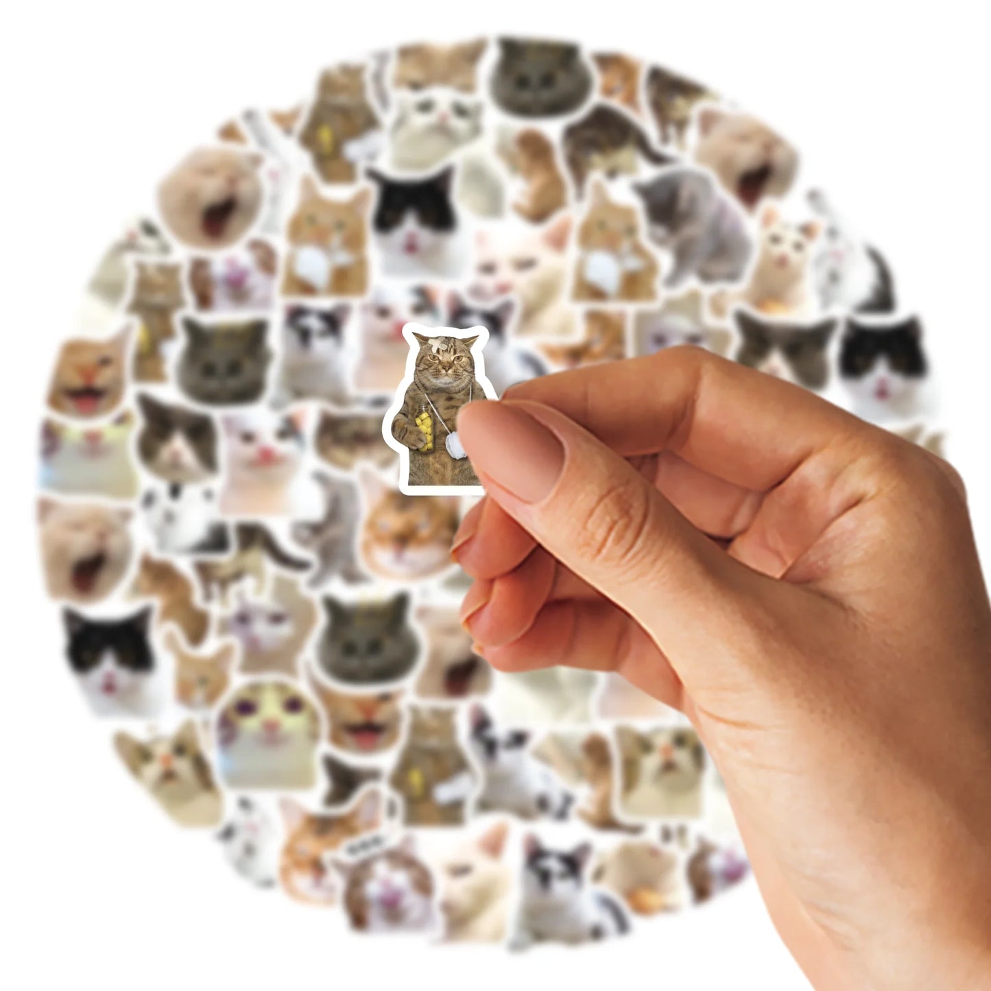 Cute Cat Stickers Set 🐱